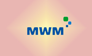 ✓ MWM ���������������������������������������������������������  